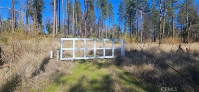 Lake Acreage Sale Pending in Oroville, California