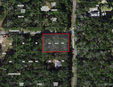 Homosassa River Lot For Sale in Homosassa Florida