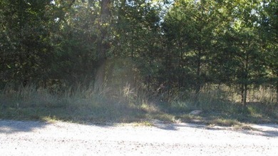3 Acres featuring a stunning panoramic bluff view of the - photo 3