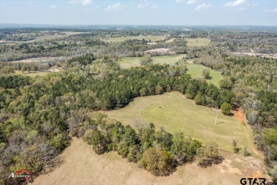 Beautiful rolling hills, ponds, natural springs and amazing - Lake Acreage For Sale in Tyler, Texas