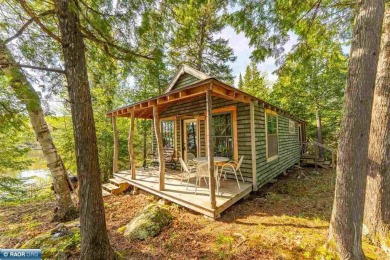 Lake Home For Sale in Tower, Minnesota