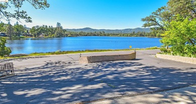 LAKEFRONT LIVING, WITH SWEEPING, PANORAMIC LAKE & MOUNTAIN - photo 40