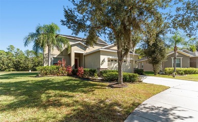 Lake Home For Sale in Tampa, Florida