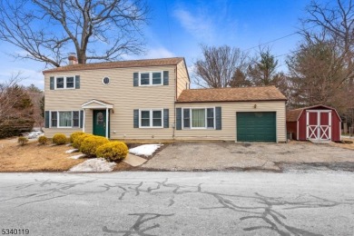 Lake Home For Sale in Roxbury Twp., New Jersey