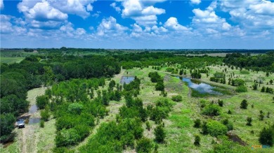 Lake Acreage For Sale in Thrall, Texas