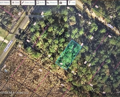 Wooded lot in Shoreline Park. Coordinates: Lat: 30.32068 Long: - photo 5