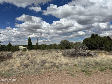 White Mountain Lake Lot For Sale in Show Low Arizona