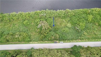 Lake Lot For Sale in Okeechobee, Florida