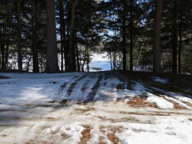 1050 feet of shared frontage on Allen Pond - Lake Acreage For Sale in Greene, Maine