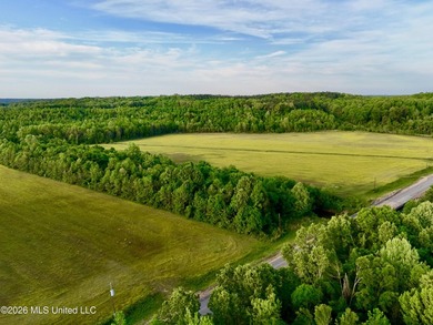 Discover an exceptional 291.57+/- acre property in Tippah County - photo 4