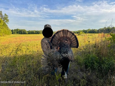 Discover an exceptional 291.57+/- acre property in Tippah County - photo 5