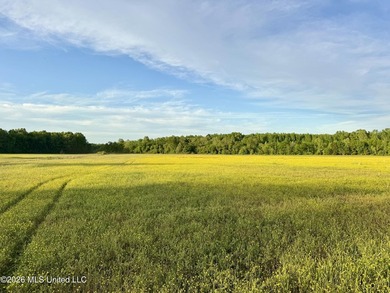 Discover an exceptional 291.57+/- acre property in Tippah County - photo 6
