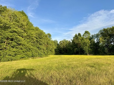 Discover an exceptional 291.57+/- acre property in Tippah County - photo 8