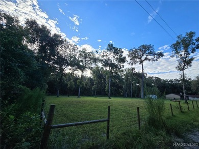 Tsala Apopka Chain of Lakes Lot For Sale in Inverness Florida