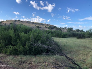 Little Colorado River Acreage For Sale in Saint Johns Arizona