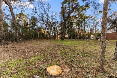 Cumberland Ridge Lake Community Lot - photo 12