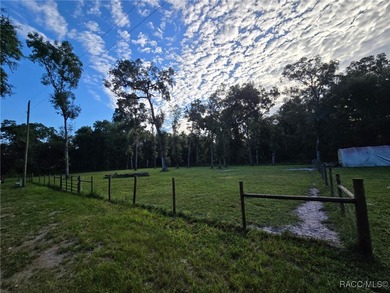 Tsala Apopka Chain of Lakes Lot For Sale in Inverness Florida