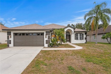Lake Home For Sale in Tarpon Springs, Florida