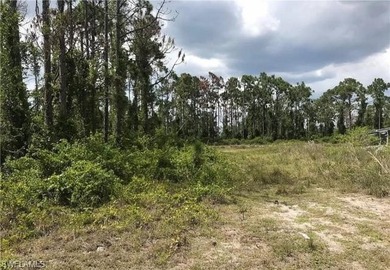 Lehigh Acres Area Lot For Sale in Lehigh Acres Florida