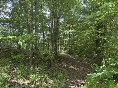 Nice lot located in the well-established development of El- - photo 1
