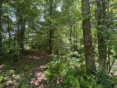 Nice lot located in the well-established development of El- - photo 2