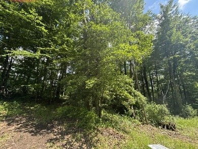 Nice lot located in the well-established development of El- - photo 4