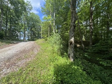Nice lot located in the well-established development of El- - photo 6