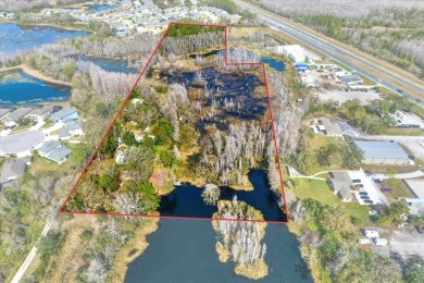 Lake Acreage For Sale in Land O Lakes, Florida