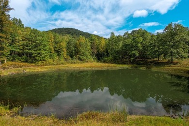 Discover 67 surveyed acres of mostly gentle terrain in the - photo 22