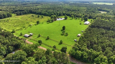 Tucked at the end of an 800-foot gravel drive just outside - photo 48