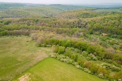 (private lake, pond, creek) Acreage For Sale in Bruceton Mills West Virginia