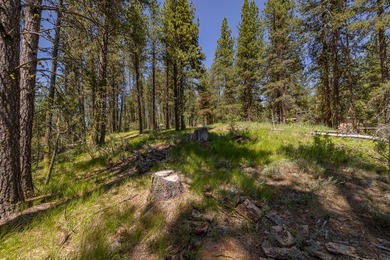Valley View Lot on Huckleberry Place! Seller financing available - photo 11