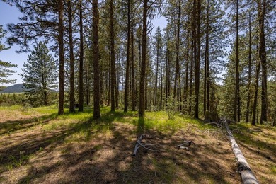 Valley View Lot on Huckleberry Place! Seller financing available - photo 12