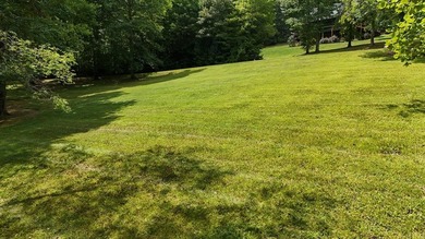 This lot provides an excellent opportunity for mountain living - photo 3