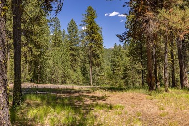 Valley View Lot on Huckleberry Place! Seller financing available - photo 13