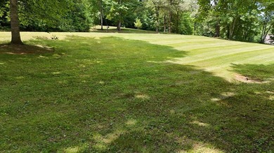 This lot provides an excellent opportunity for mountain living - photo 4