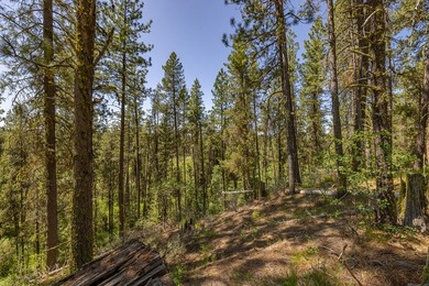 Valley View Lot on Huckleberry Place! Seller financing available - photo 14