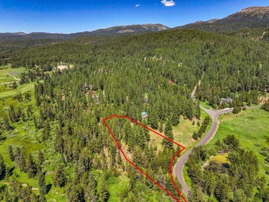 Valley View Lot on Huckleberry Place! Seller financing available - photo 21