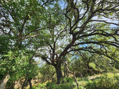 Nestled in the heart of the Texas Hill Country, this remarkable - photo 22