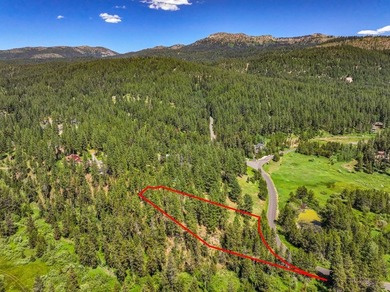 Valley View Lot on Huckleberry Place! Seller financing available - photo 22