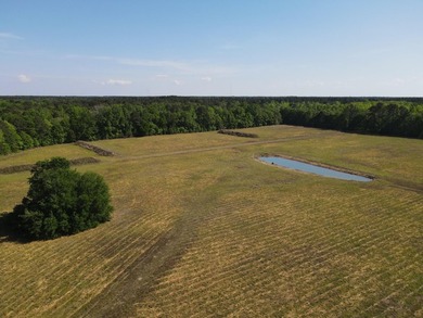 Discover this 5.28-acre tract off Cottage Lane in Berkeley - photo 11