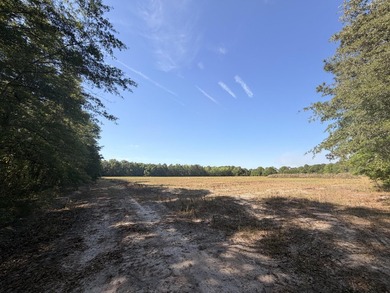 Discover this 5.28-acre tract off Cottage Lane in Berkeley - photo 12