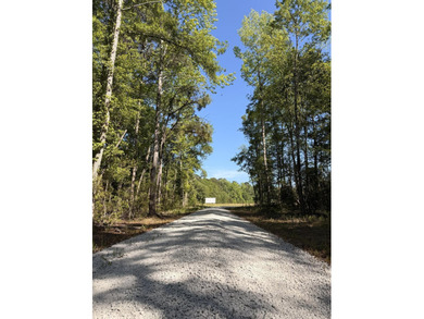 Discover this 5.28-acre tract off Cottage Lane in Berkeley - photo 13