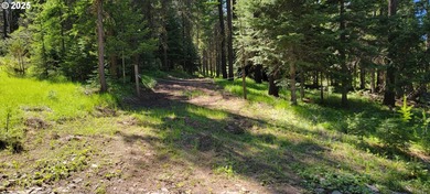Lake Acreage For Sale in Joseph, Oregon