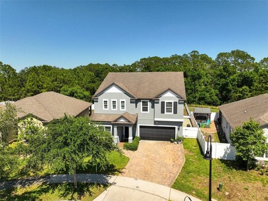 Buck Lake - Osceola County Home For Sale in Saint Cloud Florida