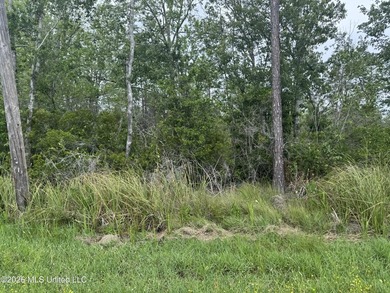 This property is right off the river and in a beautiful spot - photo 1