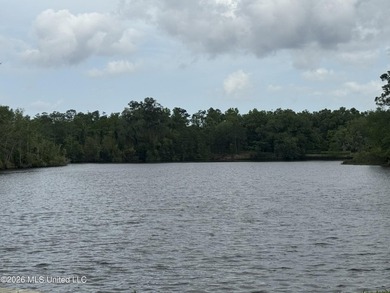 This property is right off the river and in a beautiful spot - photo 2