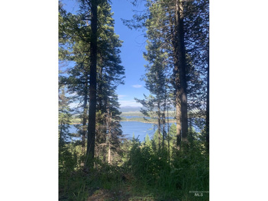 Welcome to your own slice of Idaho paradise! This nearly 3-acre - photo 13