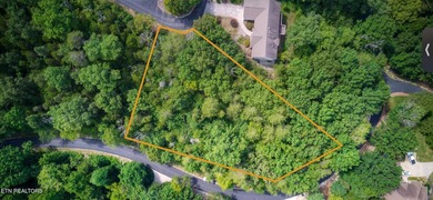 Beautiful Large Home coming up in Tellico Village, 3682 sqft - photo 3