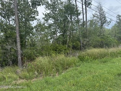 This property is right off the river and in a beautiful spot - photo 3